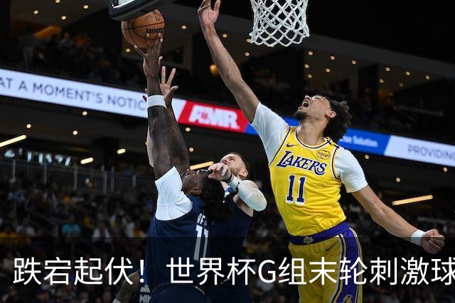 跌宕起伏！世界杯G组末轮刺激球迷心脏 伊朗狂喜过后遭打击